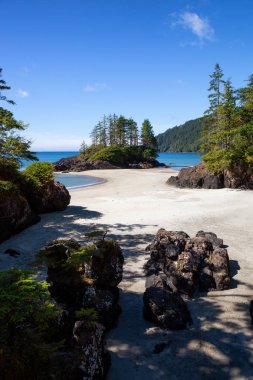 Pasifik Okyanusu kıyısında kumlu plaj güzel panoramik manzaralı. San Josef Bay, Cape Scott Provincial Park, Kuzey Vancouver Adası, Bc, Kanada içinde alınan.