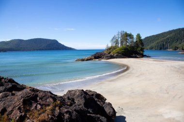 Pasifik Okyanusu kıyısında kumlu plaj güzel panoramik manzaralı. San Josef Bay, Cape Scott Provincial Park, Kuzey Vancouver Adası, Bc, Kanada içinde alınan.