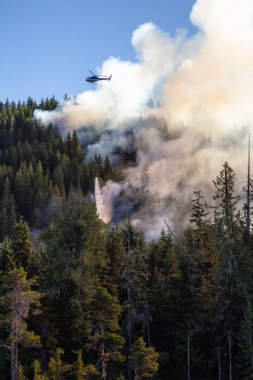 M.ö. Orman mücadele helikopter sıcak güneşli yaz gün boyunca ateşler. Bağlantı noktası Alice, Kuzey Vancouver Adası, British Columbia, Kanada alınan.