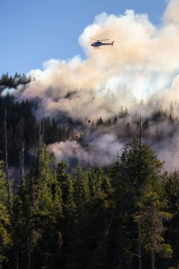M.ö. Orman mücadele helikopter sıcak güneşli yaz gün boyunca ateşler. Bağlantı noktası Alice, Kuzey Vancouver Adası, British Columbia, Kanada alınan.