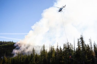M.ö. Orman mücadele helikopter sıcak güneşli yaz gün boyunca ateşler. Bağlantı noktası Alice, Kuzey Vancouver Adası, British Columbia, Kanada alınan.
