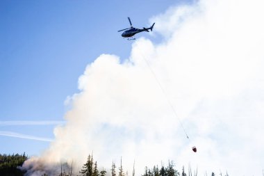M.ö. Orman mücadele helikopter sıcak güneşli yaz gün boyunca ateşler. Bağlantı noktası Alice, Kuzey Vancouver Adası, British Columbia, Kanada alınan.