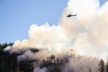 M.ö. Orman mücadele helikopter sıcak güneşli yaz gün boyunca ateşler. Bağlantı noktası Alice, Kuzey Vancouver Adası, British Columbia, Kanada alınan.