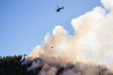 M.ö. Orman mücadele helikopter sıcak güneşli yaz gün boyunca ateşler. Bağlantı noktası Alice, Kuzey Vancouver Adası, British Columbia, Kanada alınan.
