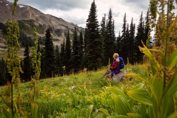 소녀는 활기찬 자연을 즐기는 가리발디 Whister와 북쪽의 밴쿠버 캐나다에서 — 스톡 사진
