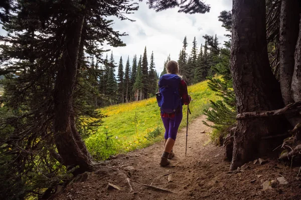 Meisje Een Parcours Natuur Wandelen Tijdens Een Levendige Zonnige Zomerdag — Stockfoto