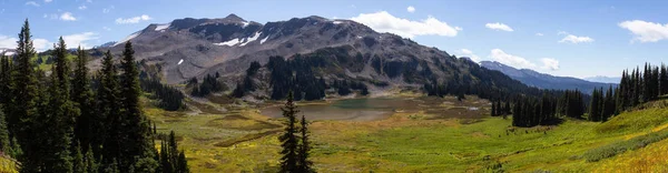 Beautiful Panoramic Landscape View Vibrant Sunny Summer Day Taken Garibaldi — Stock Photo, Image