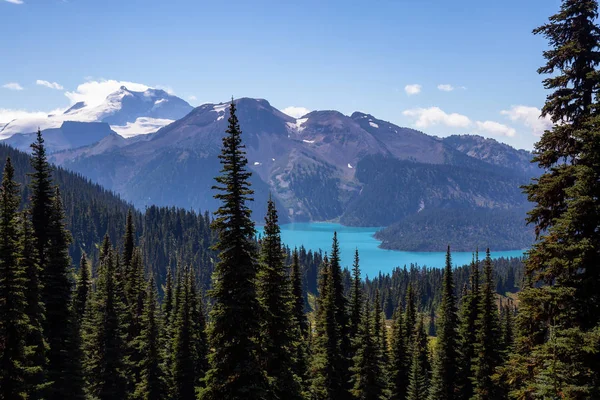 Beautiful Landscape View Vibrant Sunny Summer Day Taken Garibaldi Provincial — Stock Photo, Image