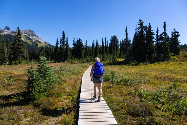 소녀는 활기찬 화창한 자연에 가신에 하이킹 가리발디 Whister와 북쪽의 밴쿠버 — 스톡 사진