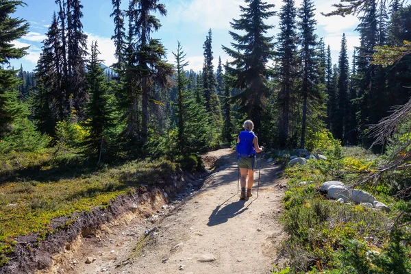 소녀는 활기찬 화창한 자연에 가신에 하이킹 가리발디 Whister와 북쪽의 밴쿠버 — 스톡 사진
