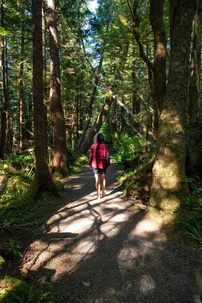 Piękne Ścieżki Lesie Podjęte Cape Scott Provincial Park Northern Wyspa — Zdjęcie stockowe