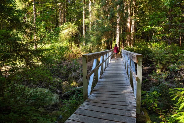 Beautiful Path Woods Taken Cape Scott Provincial Park Northern Vancouver — Stock Photo, Image