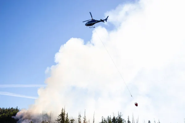 直升机在炎热的阳光明媚的夏日里与 森林大火搏斗 靠近爱丽丝 温哥华北部岛屿 加拿大不列颠哥伦比亚省 — 图库照片