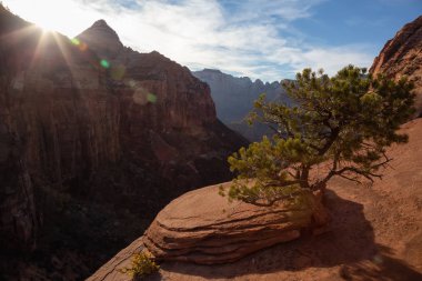 Güzel manzaralı canlı bir gün batımı sırasında kanyon. Zion National Park, Utah, Amerika Birleşik Devletleri'nde çekilen.