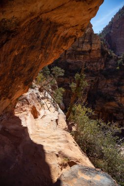 Güzel manzaralı bir güneşli gün boyunca kanyon. Zion National Park, Utah, Amerika Birleşik Devletleri'nde çekilen.