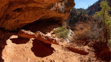 Güzel manzaralı bir güneşli gün boyunca kanyon. Zion National Park, Utah, Amerika Birleşik Devletleri'nde çekilen.