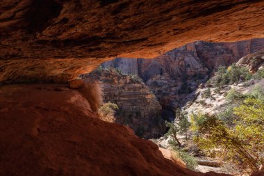 Güneşli bir gün boyunca Kanyon Hiking Trail. Zion National Park, Utah, Amerika Birleşik Devletleri'nde çekilen.