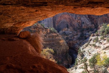 Güneşli bir gün boyunca Kanyon Hiking Trail. Zion National Park, Utah, Amerika Birleşik Devletleri'nde çekilen.