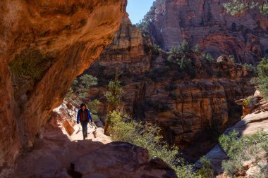 Güneşli bir gün boyunca Kanyon Hiking Trail. Zion National Park, Utah, Amerika Birleşik Devletleri'nde çekilen.
