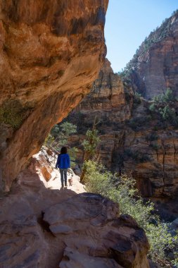 Güneşli bir gün boyunca Kanyon Hiking Trail. Zion National Park, Utah, Amerika Birleşik Devletleri'nde çekilen.