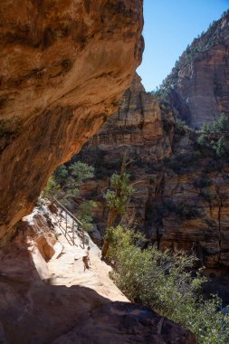 Güneşli bir gün boyunca Kanyon Hiking Trail. Zion National Park, Utah, Amerika Birleşik Devletleri'nde çekilen.