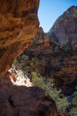 Güneşli bir gün boyunca Kanyon Hiking Trail. Zion National Park, Utah, Amerika Birleşik Devletleri'nde çekilen.