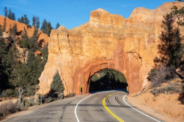 Kanyonlar güneşli yaz gün boyunca doğal yolda. Alınan yol 12, Utah, Amerika Birleşik Devletleri.