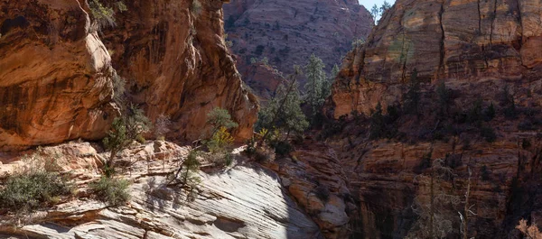 Panoramik manzaralı bir güneşli gün boyunca Kanyon Hiking Trail. Zion National Park, Utah, Amerika Birleşik Devletleri'nde çekilen.