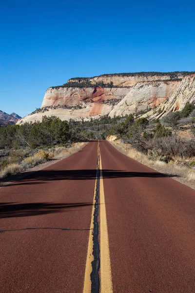 Scenic Road Canyons Sunny Summer Day Taken Zion National Park — Stock Photo, Image