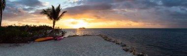 Gündoğumu çarpıcı Atlantik Okyanusu sahilinde tropikal bir kum plajındaki izlendi. Plantation anahtar, Florida Keys, Florida, Amerika Birleşik Devletleri.