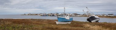 Panoramik deniz araçları ile Atlas Okyanusu kıyısında küçük bir kasaba üzerinde karada park etmiş. Flower's Cove, Newfoundland ve Labrador, Kanada içinde alınan.