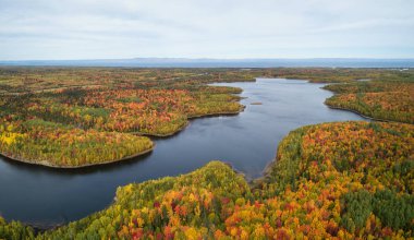 Güzel bir Kanada manzara sırasında hava panoramik renk sezon sonbahar. Belledune, New Brunswick, Kanada alınan.