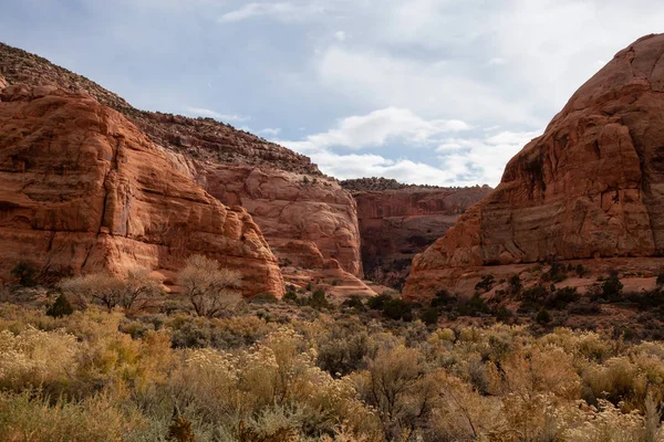 Vista Panorámica Cañón Desierto Durante Día Vibrante Localizado Cerca Sal —  Fotos de Stock