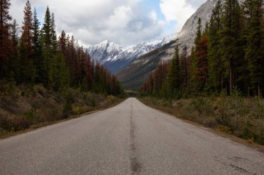 Kanada Kayalık Dağları Sonbahar mevsiminde manzaralı bir yolda güzel manzarasına. Icefields Pkwy, Jasper, Alberta, Kanada içinde alınan.