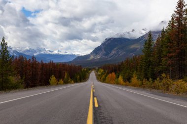 Kanada Kayalık Dağları Sonbahar mevsiminde manzaralı bir yolda güzel manzarasına. Icefields Pkwy, Jasper, Alberta, Kanada içinde alınan.