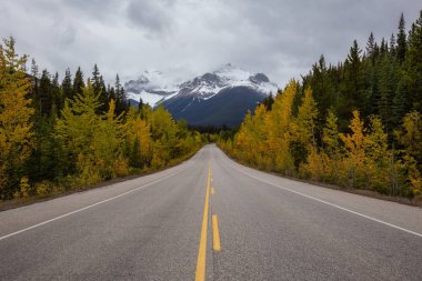 Kanada kayalık dağlarında sonbahar mevsiminde güzel yol. Icefields Pkwy, Banff, Alberta, Kanada içinde alınan.