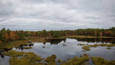 Hava panoramik bir bulutlu sonbahar gün boyunca güzel bir göl. Lily göl kenarında Annapolis, Nova Scotia, Kanada çekilmiş.