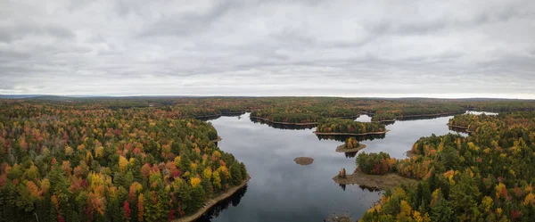 Vue Aérienne Panoramique Beau Lac Dans Forêt Avec Des Arbres — Photo