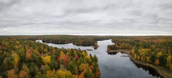 Vue Aérienne Panoramique Beau Lac Dans Forêt Avec Des Arbres — Photo