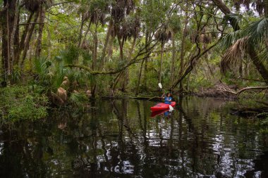 Maceracı kız bir nehir kanosu ağaçlarıyla kaplı. Orlando, Florida, Amerika Birleşik Devletleri batısında bulunan Chassahowitzka Nehri'nde alınan.