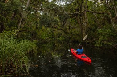 Maceracı kız bir nehir kanosu ağaçlarıyla kaplı. Orlando, Florida, Amerika Birleşik Devletleri batısında bulunan Chassahowitzka Nehri'nde alınan.