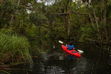 Maceracı kız bir nehir kanosu ağaçlarıyla kaplı. Orlando, Florida, Amerika Birleşik Devletleri batısında bulunan Chassahowitzka Nehri'nde alınan.