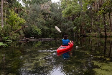 Maceracı kız bir nehir kanosu ağaçlarıyla kaplı. Orlando, Florida, Amerika Birleşik Devletleri batısında bulunan Chassahowitzka Nehri'nde alınan.