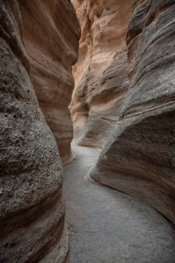 Güneşli bir akşam sırasında güzel Amerikan manzara. Kaşa-Katuwe çadır kayalar Ulusal Anıtı, New Mexico, Amerika Birleşik Devletleri'nde çekilen.