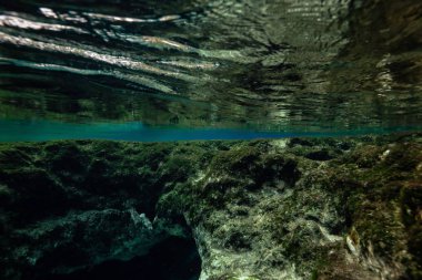 Güzel manzara bir sualtı mağara oluşumu. Alınan 7 kız Springs, Chassahowitzka Nehri, Florida, Amerika Birleşik Devletleri.