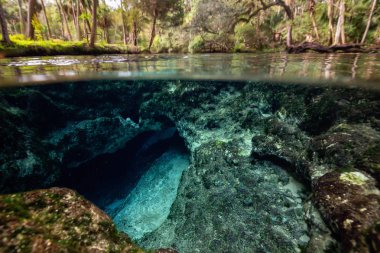 Güzel manzara bir sualtı mağara oluşumu. Alınan 7 kız Springs, Chassahowitzka Nehri, Florida, Amerika Birleşik Devletleri.