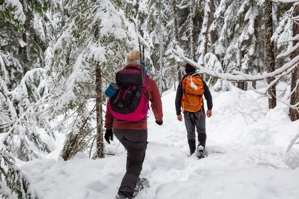 在一个白色的冬日 雪鞋在雪地里 乘坐徒步前往加拿大 温哥华北部惠斯勒和斯夸米什附近的亚历山大瀑布 — 图库照片