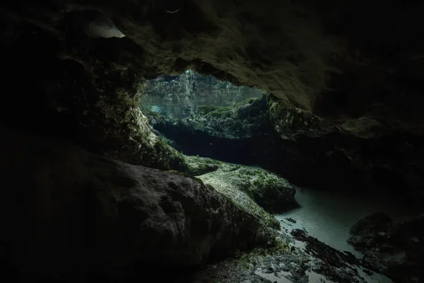 Schöne Aussicht Auf Eine Unterwasserhöhlenformation Aufgenommen Sister Springs Chassahowitzka River — Stockfoto