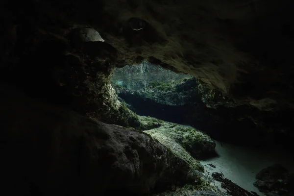 Beautiful View Underwater Cave Formation Taken Sisters Springs Chassahowitzka River — Stock Photo, Image
