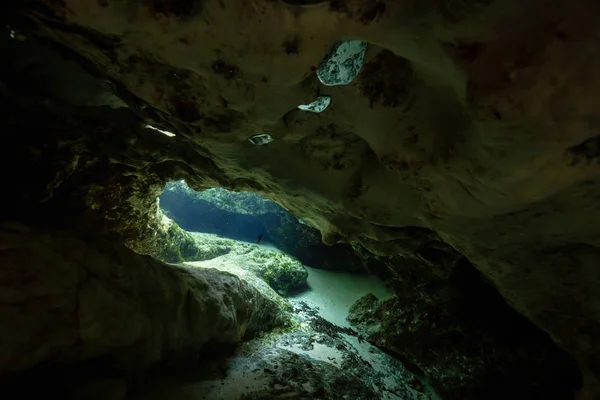 Schöne Aussicht Auf Eine Unterwasserhöhlenformation Aufgenommen Sister Springs Chassahowitzka River — Stockfoto